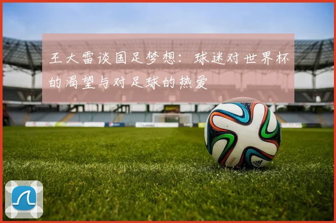 王大雷谈国足梦想：球迷对世界杯的渴望与对足球的热爱