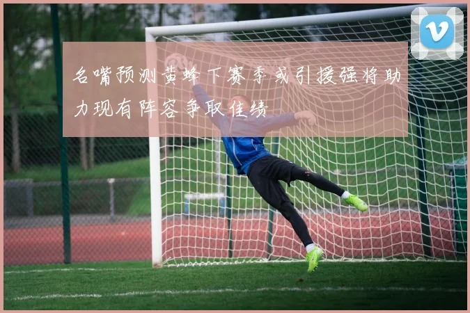 名嘴预测黄蜂下赛季或引援强将助力现有阵容争取佳绩